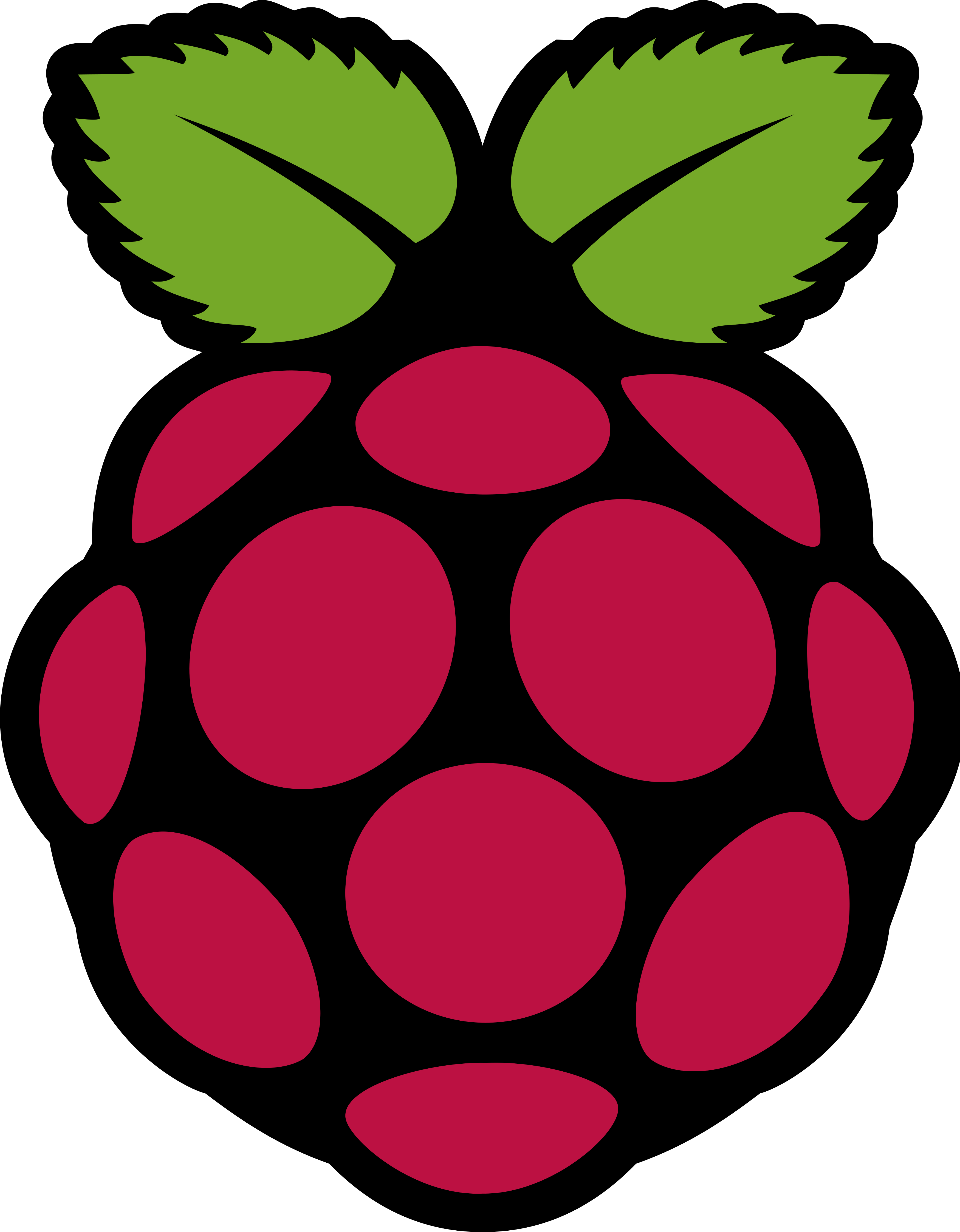 Picamera 2